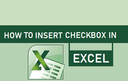 how to make a clickable checkbox in excel for mac